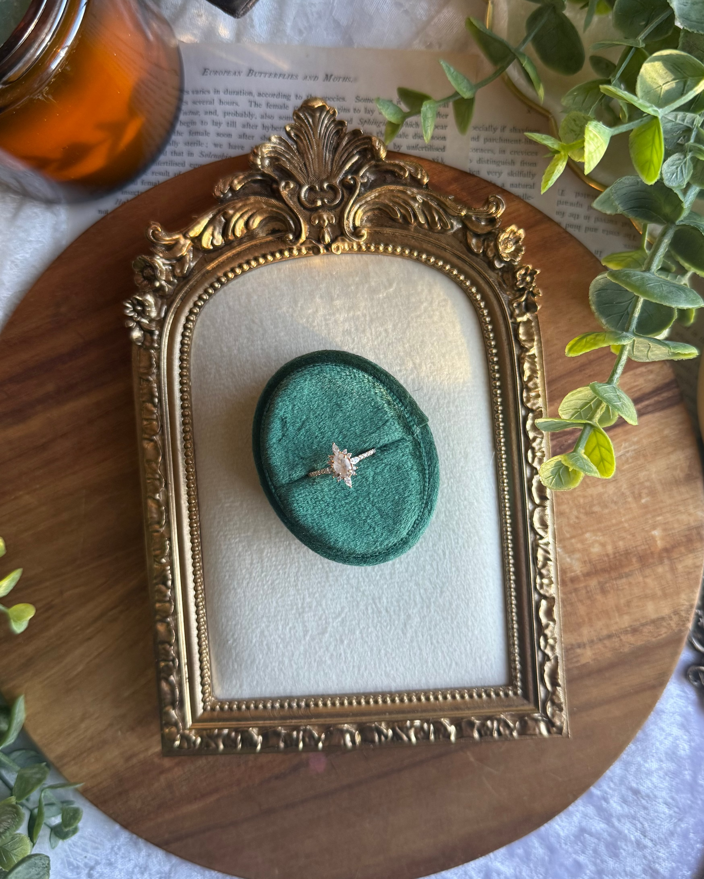 The Starbound Halo Ring