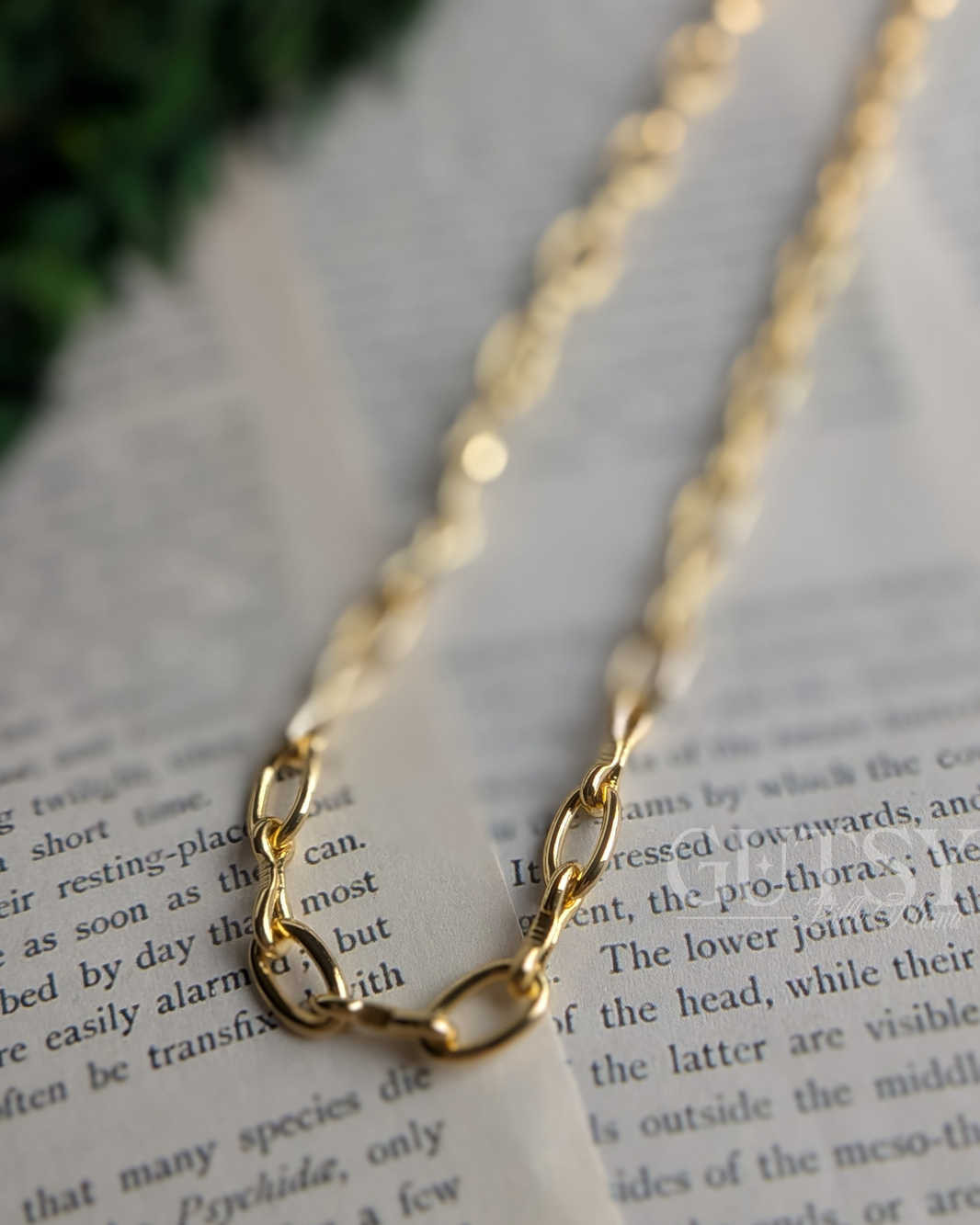 Base chains – Gutsy Little Mama