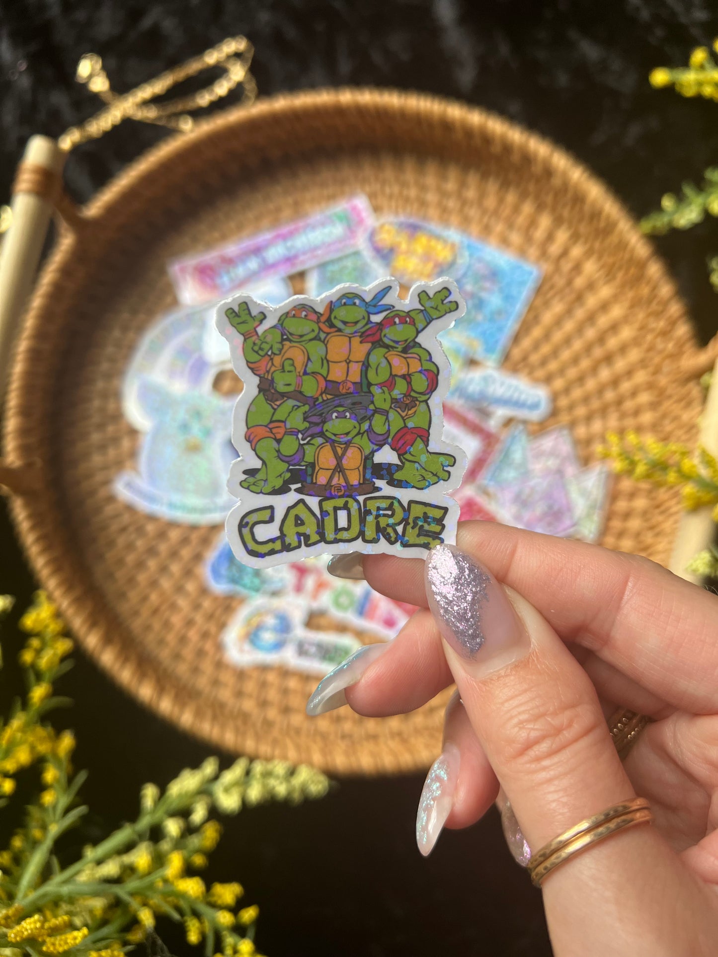 Cadre Turtles Holographic Sticker