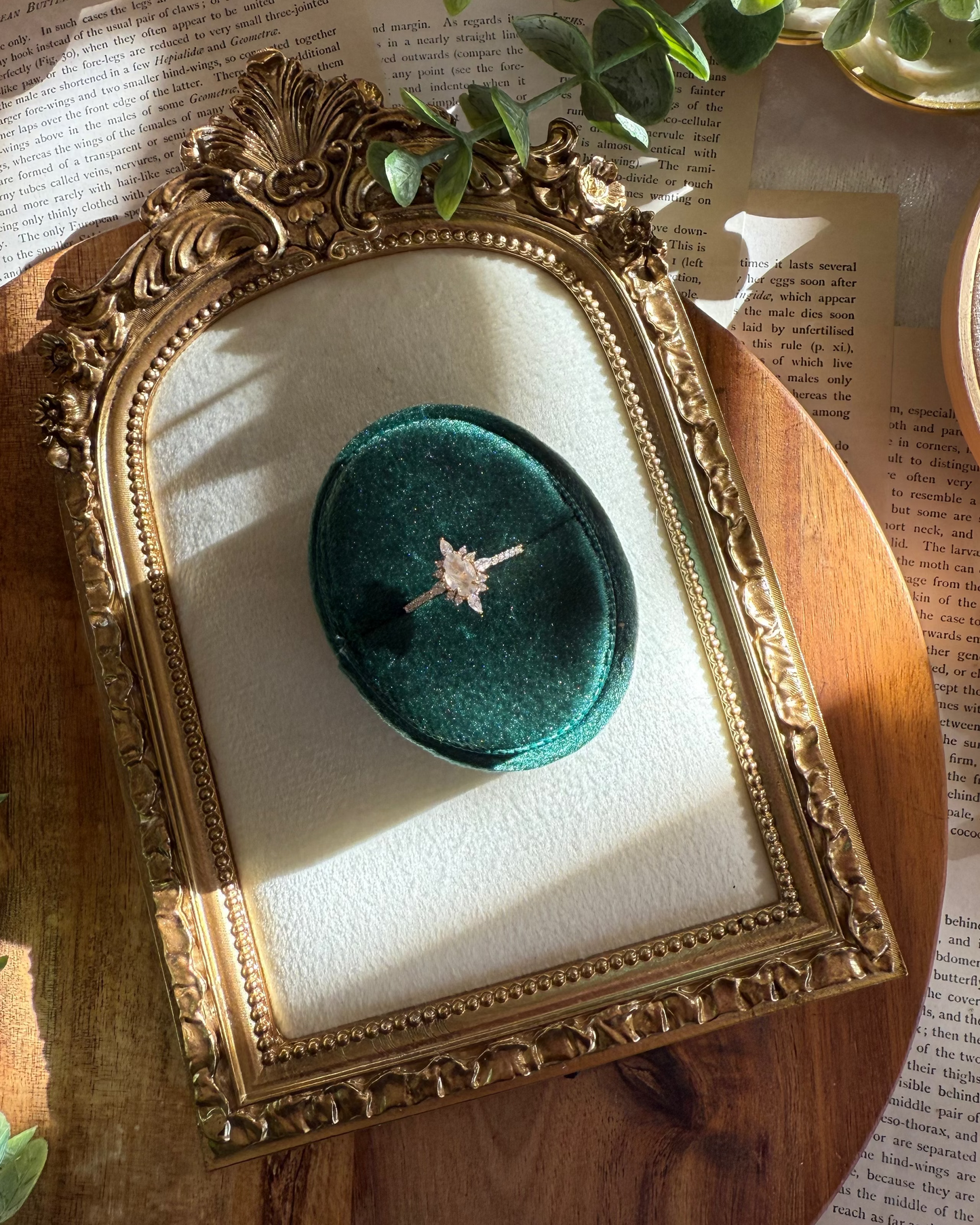 The Starbound Halo Ring