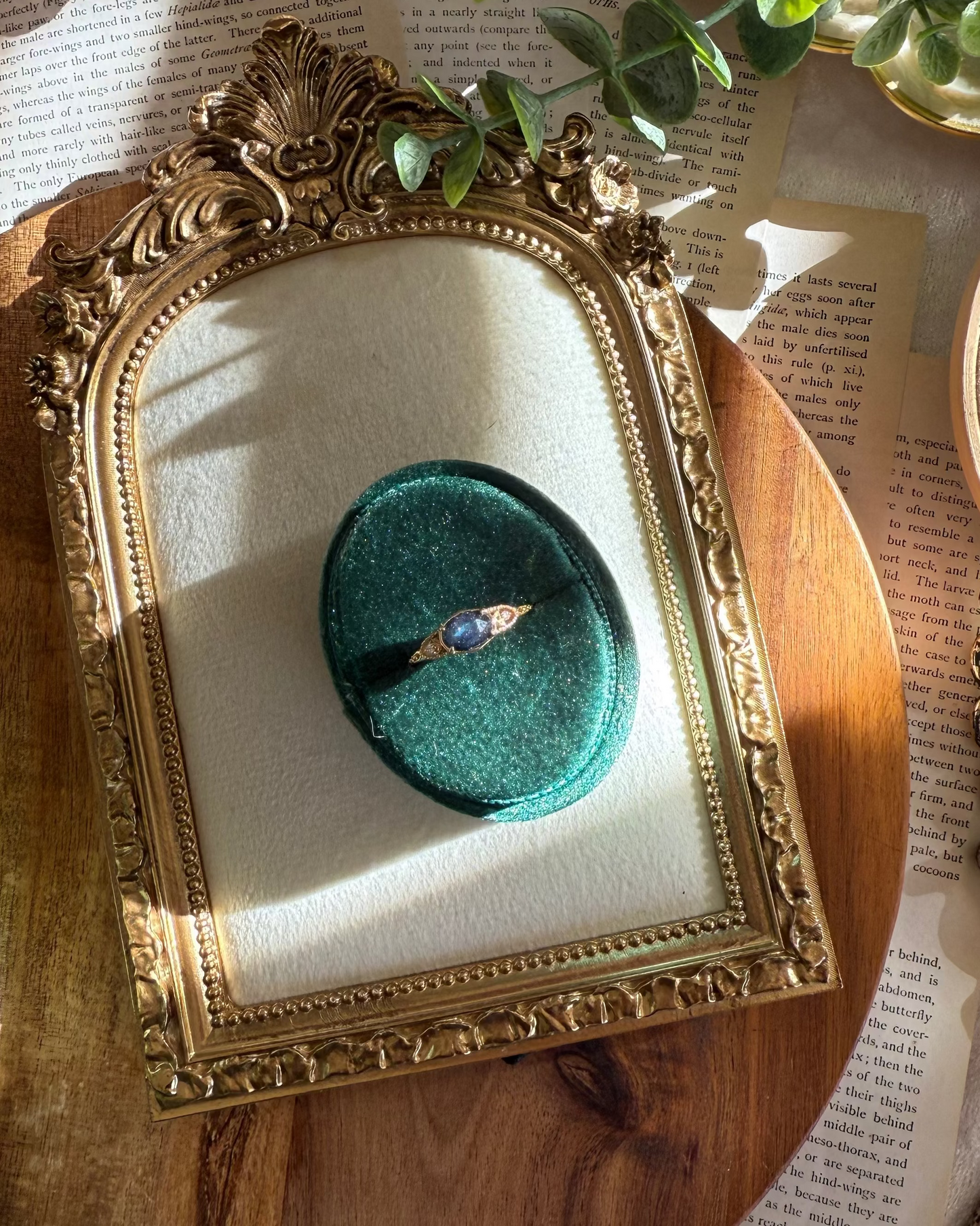 The Nightcourt Filigree Ring