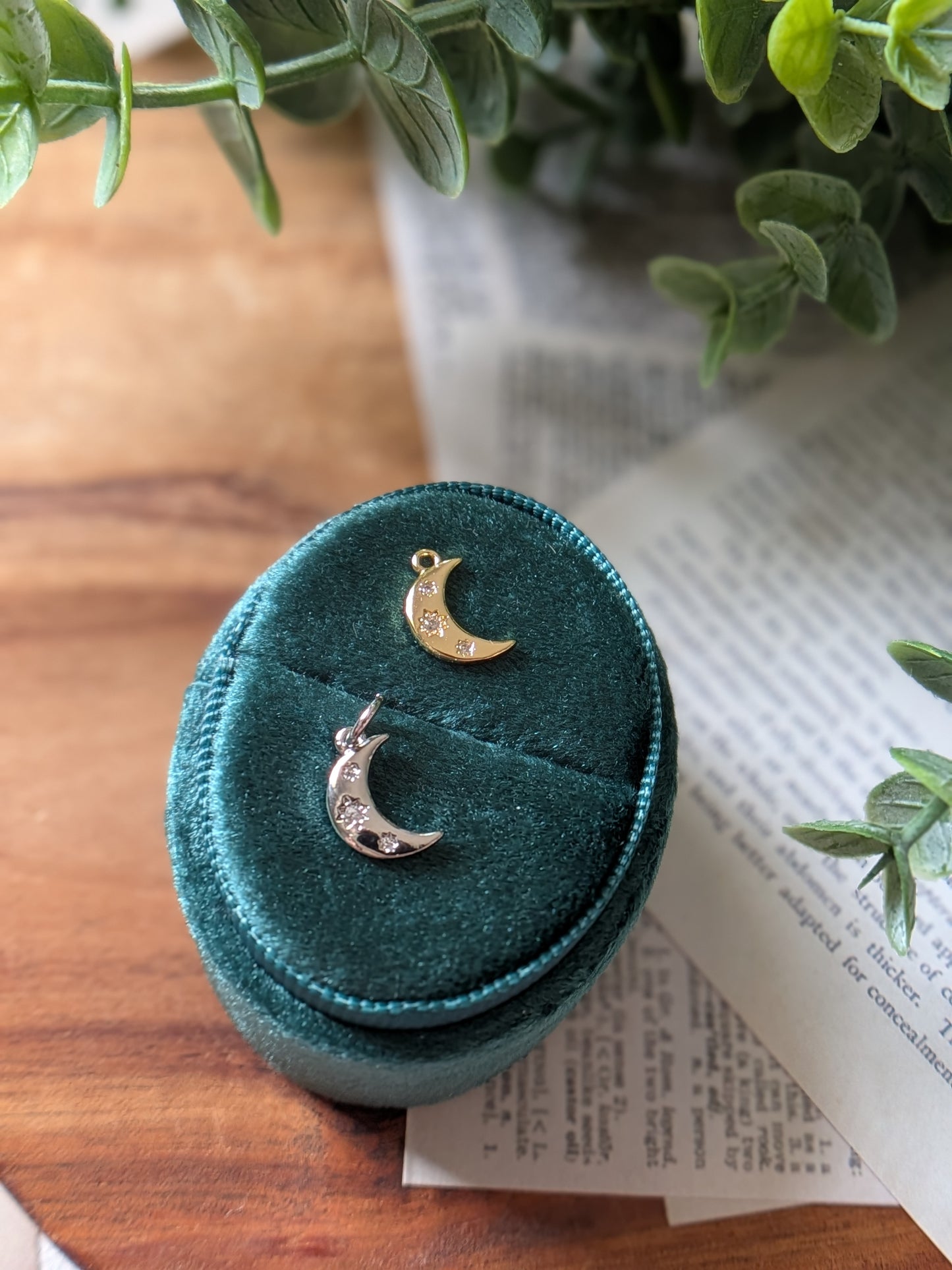 The Moon