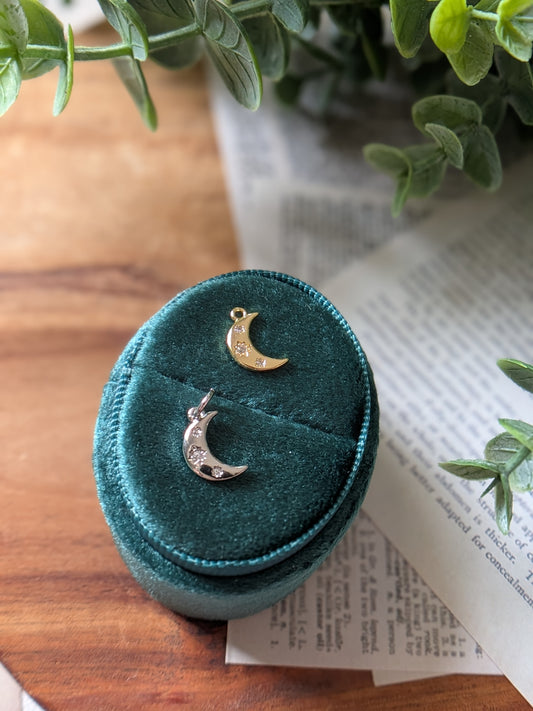 The Moon